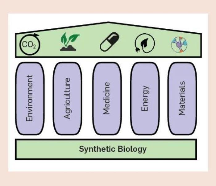 AI 與合成生物學「聯姻」的五大挑戰：技術、數據、算法、評估與社會學