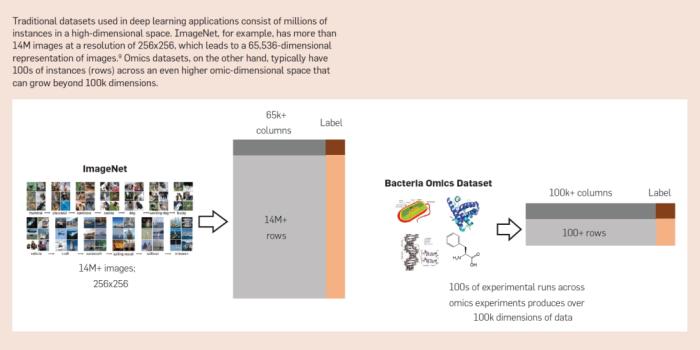 AI 與合成生物學「聯姻」的五大挑戰：技術、數據、算法、評估與社會學