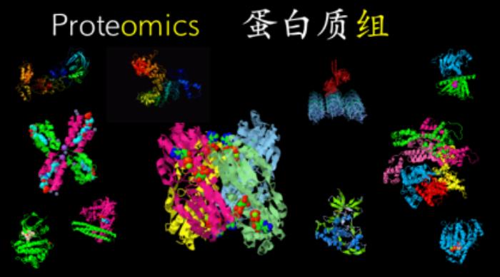 西湖大學郭天南：從「元宇宙」視角，探秘蛋白質組大數據