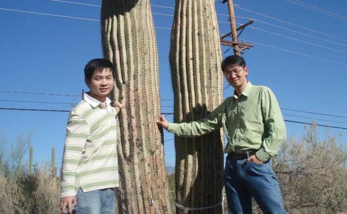 IEEE Fellow楊錚：打破「視覺(jué)」壟斷，無(wú)線信號(hào)為 AI 開(kāi)啟「新感官」