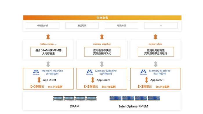 第一批做「單細胞測序」的人，已經上云了