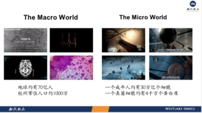 西湖大學郭天南：從「元宇宙」視角，探秘蛋白質組大數據