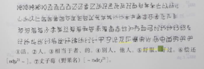 合合信息攜手高校，發布業內首個古彝文編碼「大字典」