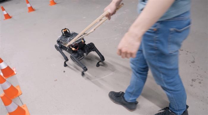 瑞士研發出機器人導盲犬：避障、導航均在行