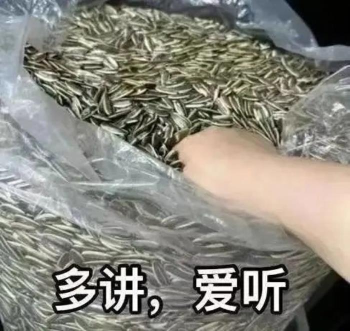 上手通義千問(wèn)2.0后 我才發(fā)現(xiàn)大模型的天敵是伍佰