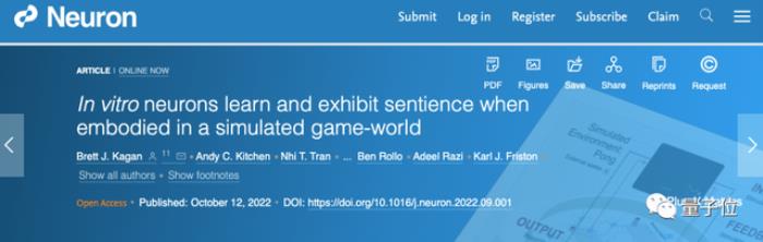 用活人腦細胞造AI系統！語音識別已成功，可無監督學習｜Nature子刊