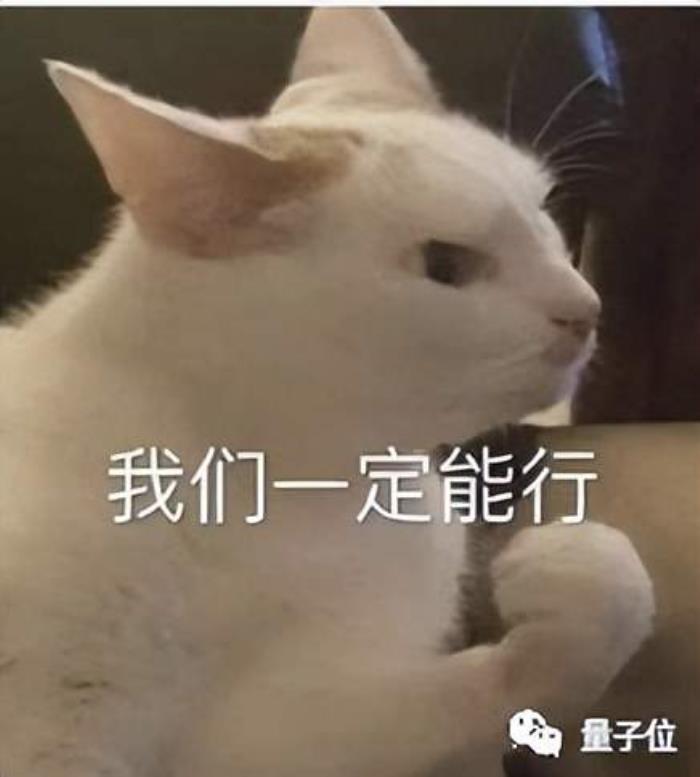 把大模型當CPU,前阿里云首席安全科學家創業項目曝光