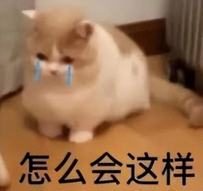 Deepfake假CFO騙走公司1.8個億，員工：視頻會議里每個人看起來都很真實啊