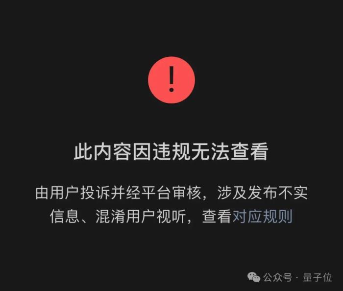 謝賽寧緊急辟謠：Sora跟我一點關系沒有，他們996搞一年了