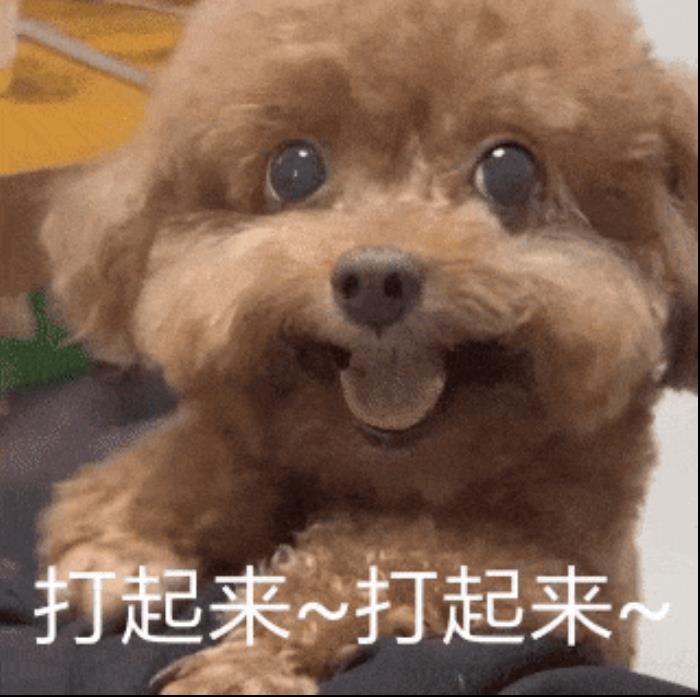 Claude 3反超GPT-4競技場登頂！小杯Haiku成開發者新寵：性價比無敵