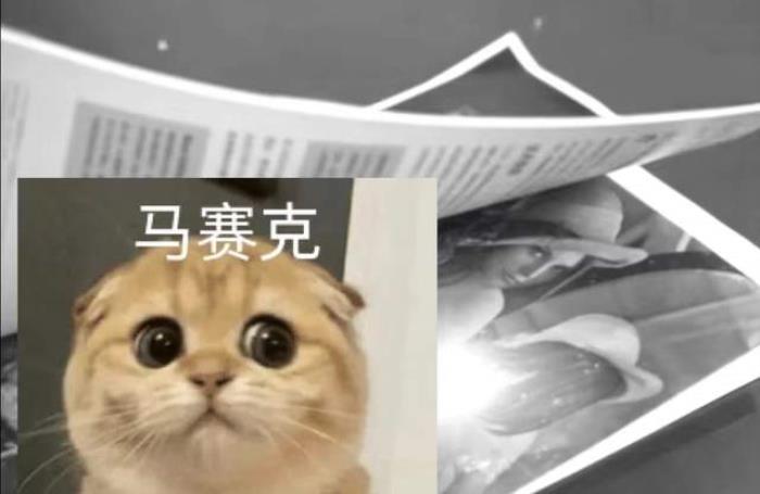 “計算機視覺女神”被IEEE期刊封殺