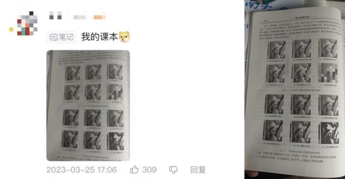 “計算機視覺女神”被IEEE期刊封殺