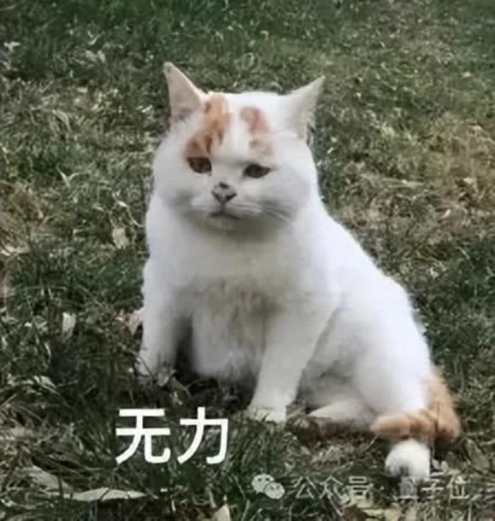 Ilya離開OpenAI內幕曝光:奧特曼砍他團隊算力,優先搞產品賺錢