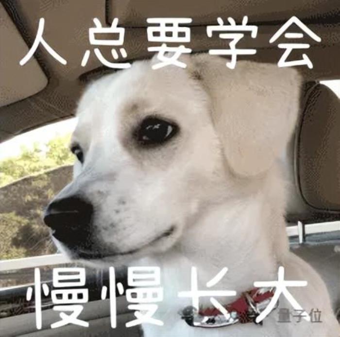 百川新模型沖頂中文測試基準!首款AI助手“百小應”同時發布,“最懂搜索”