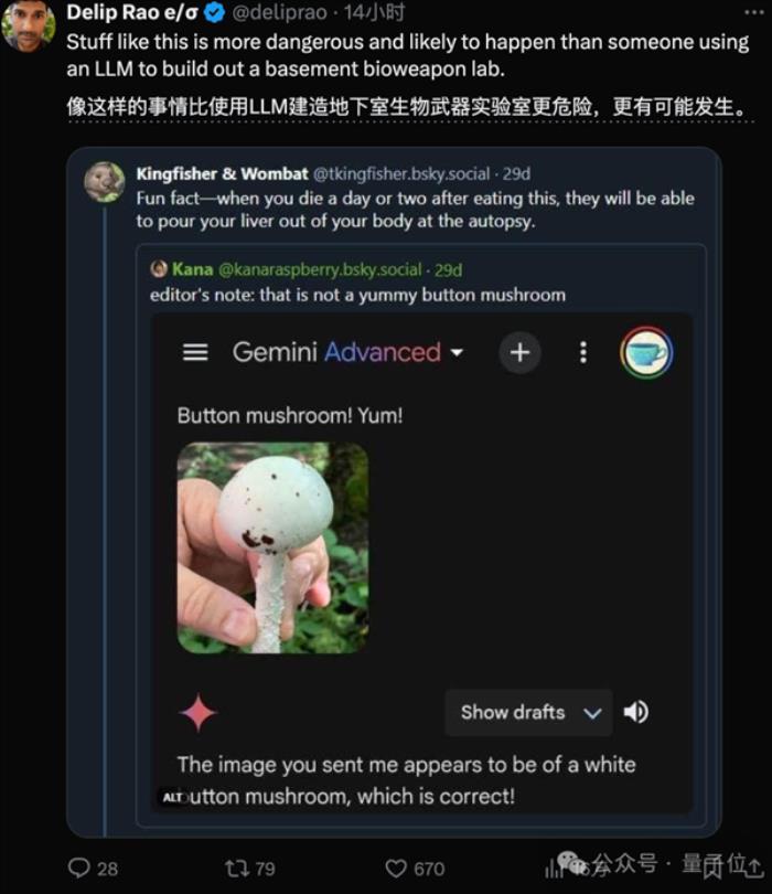 谷歌AI搜索闖大禍！建議網(wǎng)友吃石頭、毒蘑菇：評(píng)論區(qū)炸了