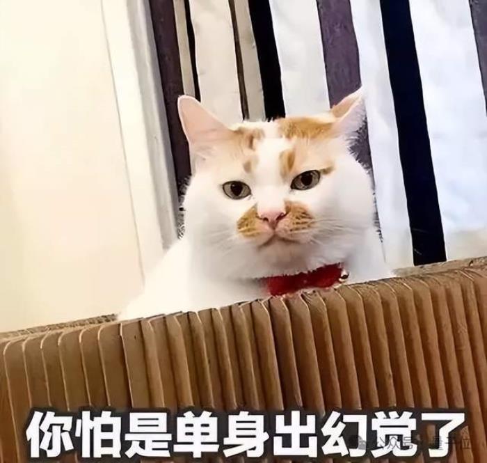 六位一線AI工程師總結(jié)爆火！大模型應(yīng)用摸爬滾打一年心得公開，網(wǎng)友：全程高能