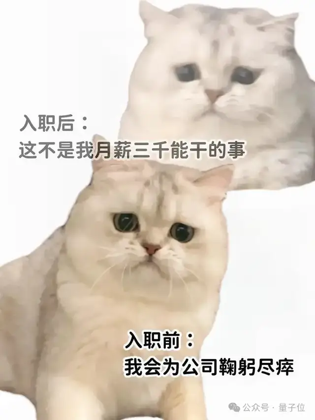 六位一線AI工程師總結(jié)爆火！大模型應(yīng)用摸爬滾打一年心得公開，網(wǎng)友：全程高能