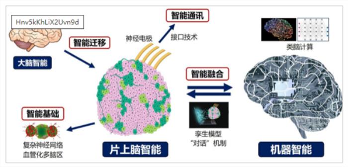 重磅研究！中國首創人腦驅動機器人