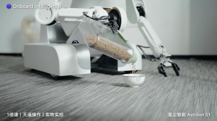 國產AI機器人好超前…彈琴泡茶打詠春,還能擼貓??