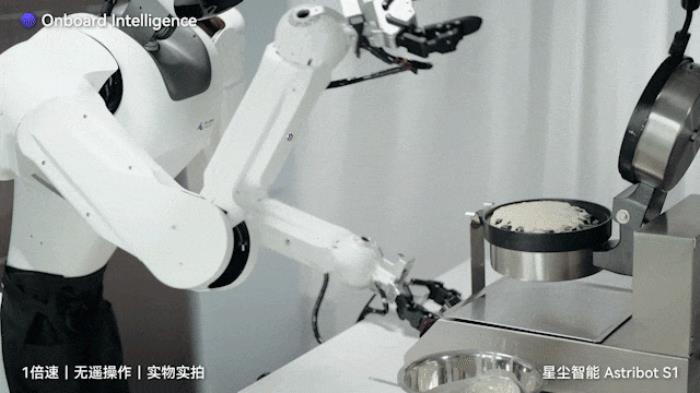 國產AI機器人好超前…彈琴泡茶打詠春,還能擼貓??