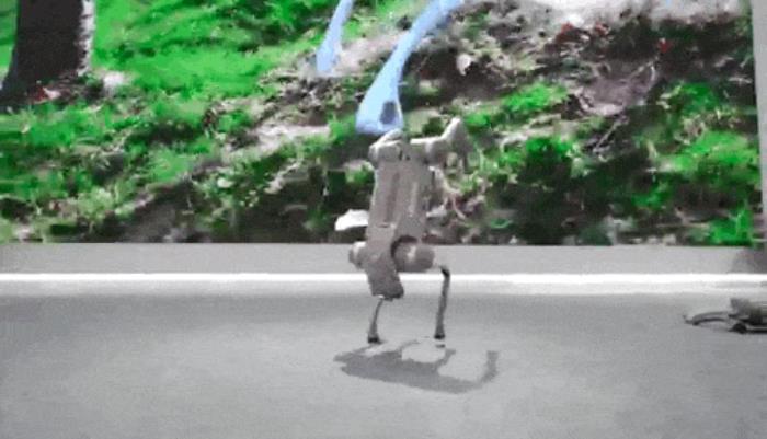2024世界機器人大會在京圓滿閉幕