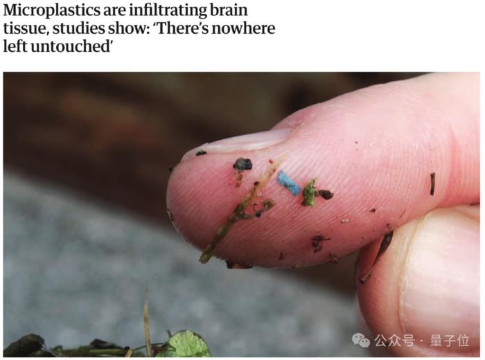 讓Karpathy倍感意外的研究:人類大腦已被塑料污染