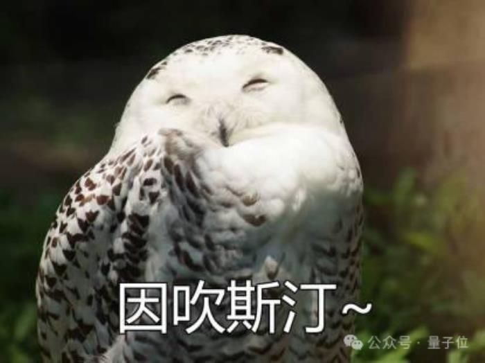 8歲女孩玩轉(zhuǎn)AI編程，45分鐘打造聊天機器人，Karpathy都看呆了