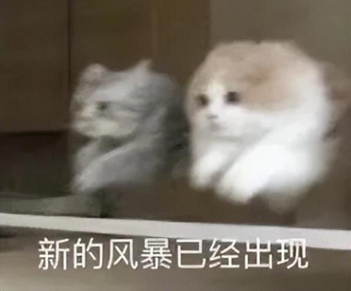 再融近5億！清華系A(chǔ)I創(chuàng)業(yè)新勢(shì)力，成最吸金“算力運(yùn)營(yíng)商”
