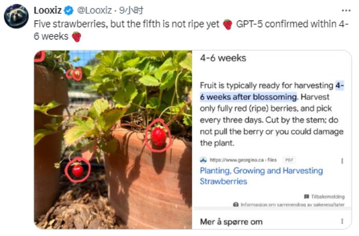GPT新版本猜想：奧特曼草莓圖引發(fā)推理熱潮