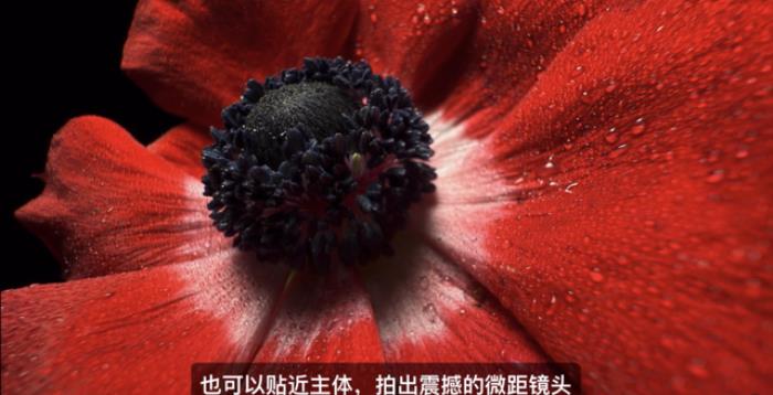 iPhone 16全系上車最強3nm芯片！首款AI原生手機，按鍵竟成最大亮點