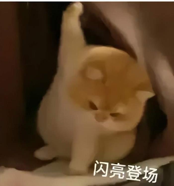 清華系公司聯(lián)合,單4090讓安全大模型進(jìn)入千億時代|長亭x趨境