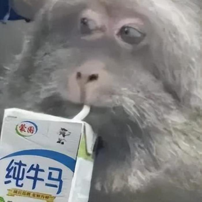 打破波士頓動力空翻專利后,國產人形機器人左手擰螺絲,右手咖啡拉花