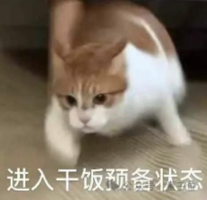 17歲開發AI應用 4個月入賬700萬 開學第一天曬賬單火了