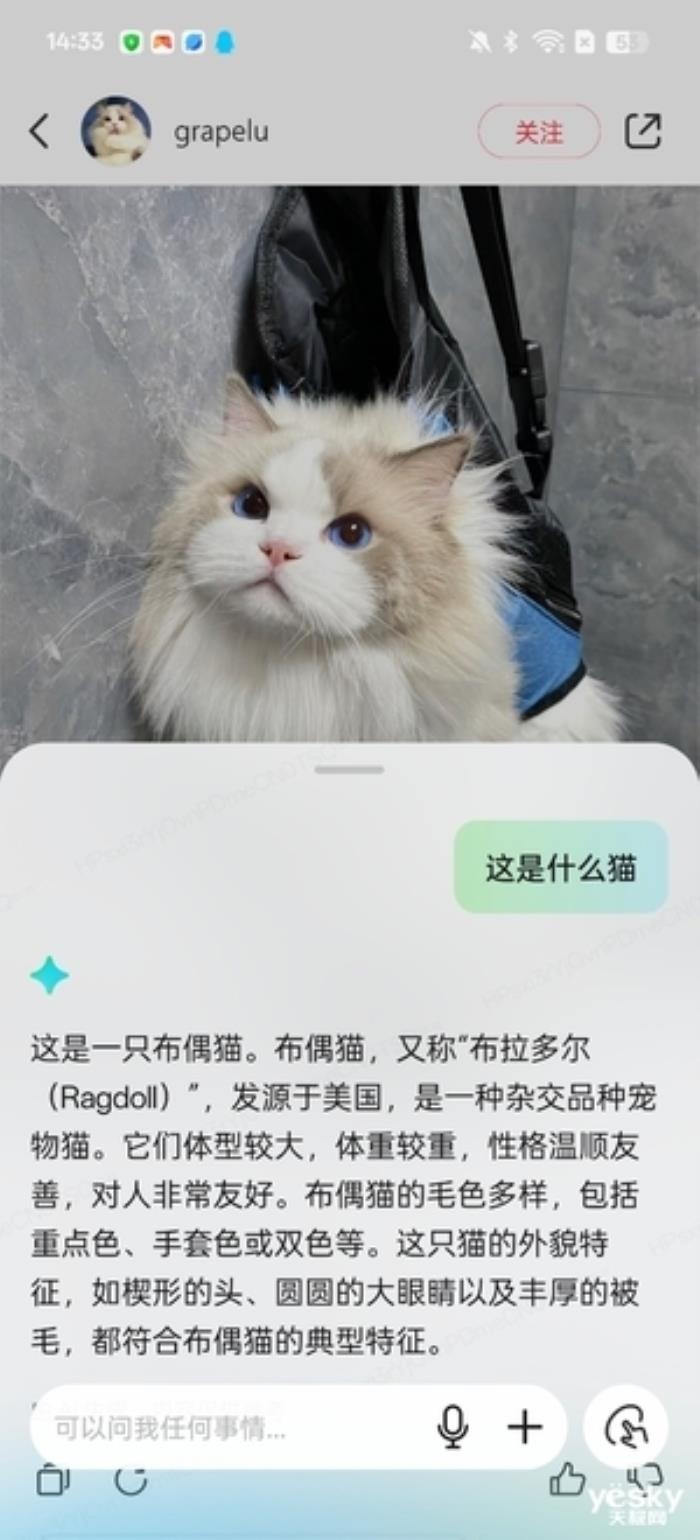ColorOS 15上手：不止縱享絲滑 AI功能脫胎換骨
