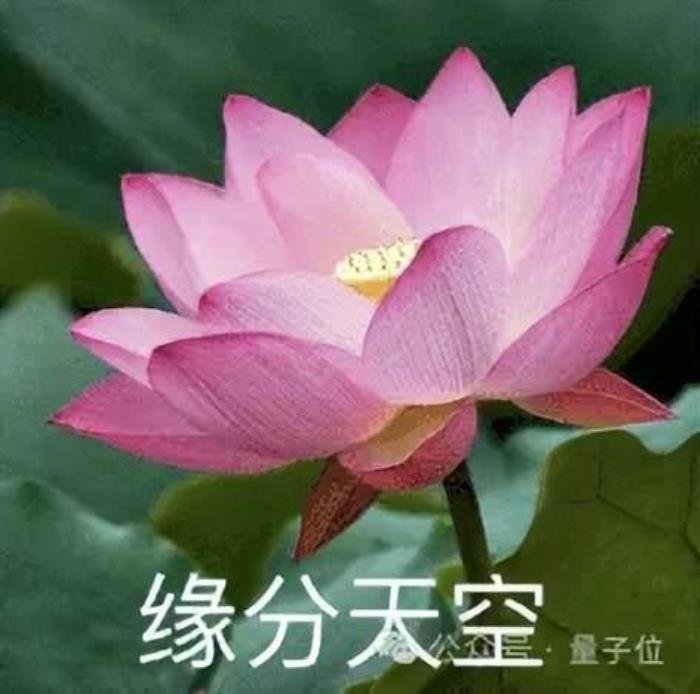 靠AI,2年時(shí)間大漲4倍!扒一扒你每天都用的這只小綠鳥