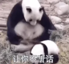 OpenAI語音轉錄工具被曝嚴重幻覺：轉錄100小時，一半兒在瞎扯