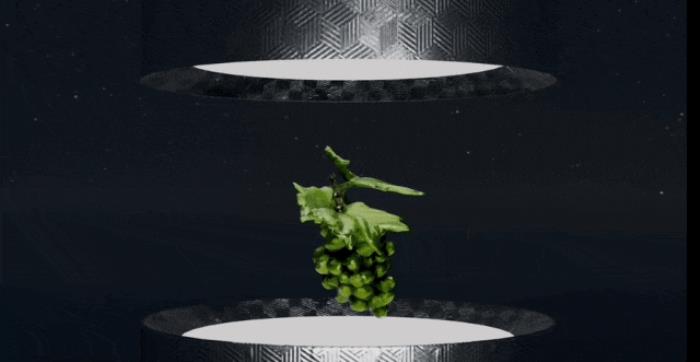 騰訊3D大模型全面開源,文本圖像10秒轉(zhuǎn)3D資產(chǎn),模型權(quán)重、推理代碼全開放