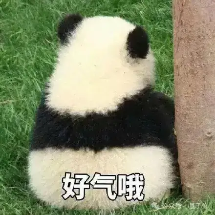 OpenAI重奪競技場第一,但這波靠的是4o