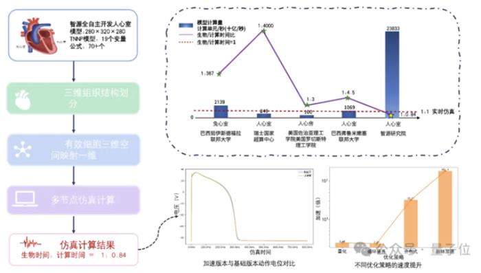 智源發(fā)布心臟模型！超實(shí)時(shí)仿真人體生理功能，速度提升180倍