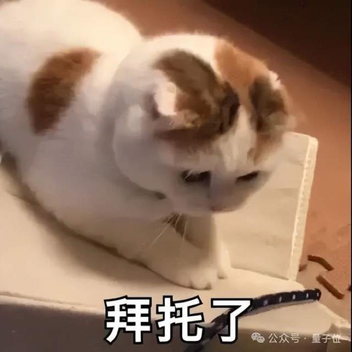 什么？程序員禮盒還自帶大模型彩蛋，碰一下就可觸發