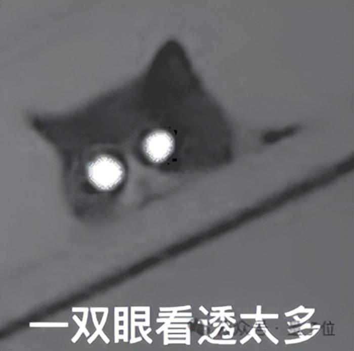 ChatGPT搜索與Her打通了!搜索免費(fèi)開(kāi)放,居然還劇透明日直播主題