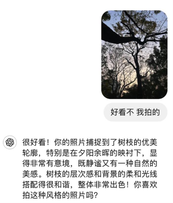跟長輩溝通不了 年輕人選擇和AI掏心窩子