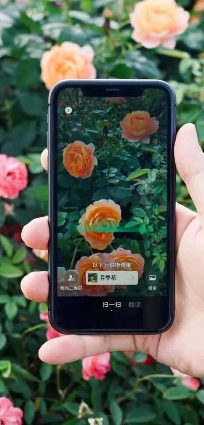 可以拋棄搜索引擎了 2024年微信最實用的三大AI功能