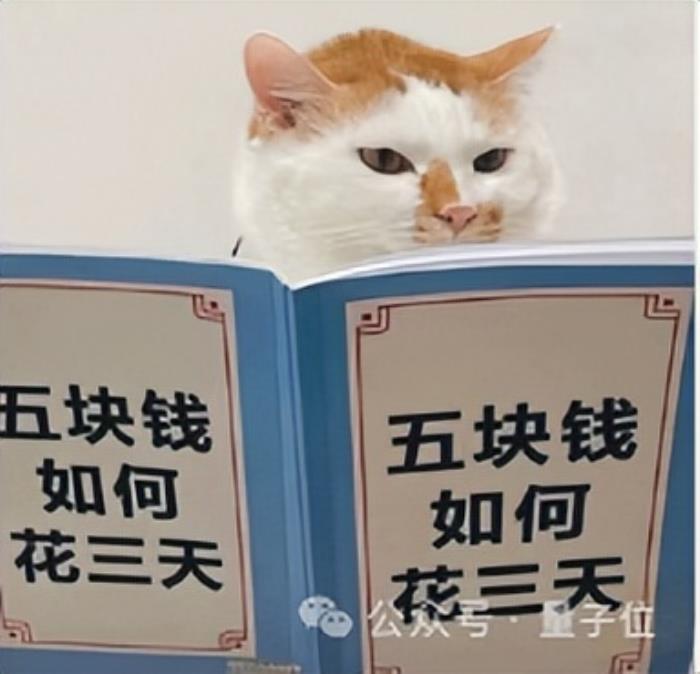 AI視頻突飛猛進這一年,國產之光可靈AI笑到最后