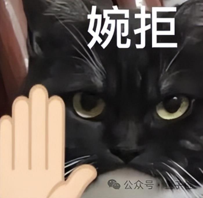 對話楊元慶:未來1年端側AI提升3倍性能,“這是短期內保守估計”丨直擊MWC 2025