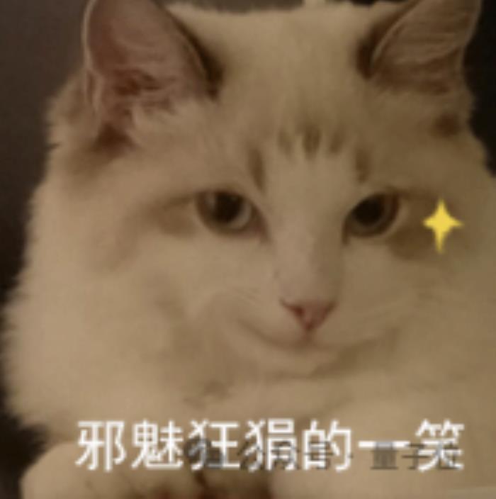 稚暉君機器人神技再現江湖！騎自行車驚呆眾人：又抽象又硬核