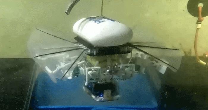 靈感源于蝙蝠魚！我國科研團隊讓小型機器人漫步萬米深海