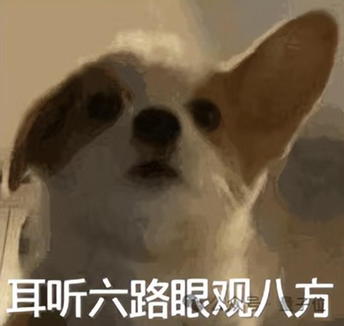 7B模型搞定AI視頻通話,阿里最新開源炸場,看聽說寫全模態打通,開發者企業免費商用