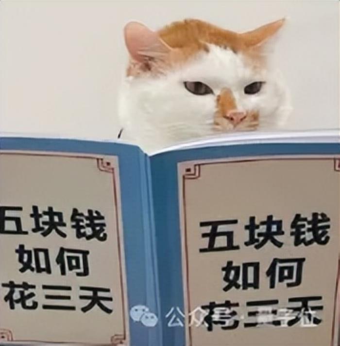 流體力學專用版DeepSeek,單GPU可跑,成本節約高達100倍