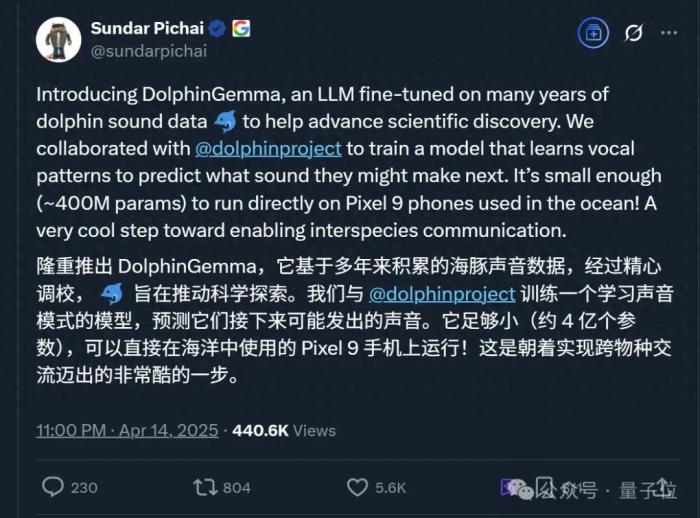 海豚語言被谷歌大模型破譯!跨物種交流大門打開,哈薩比斯:下一個是狗